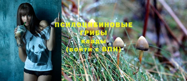 кристаллы Алексеевка